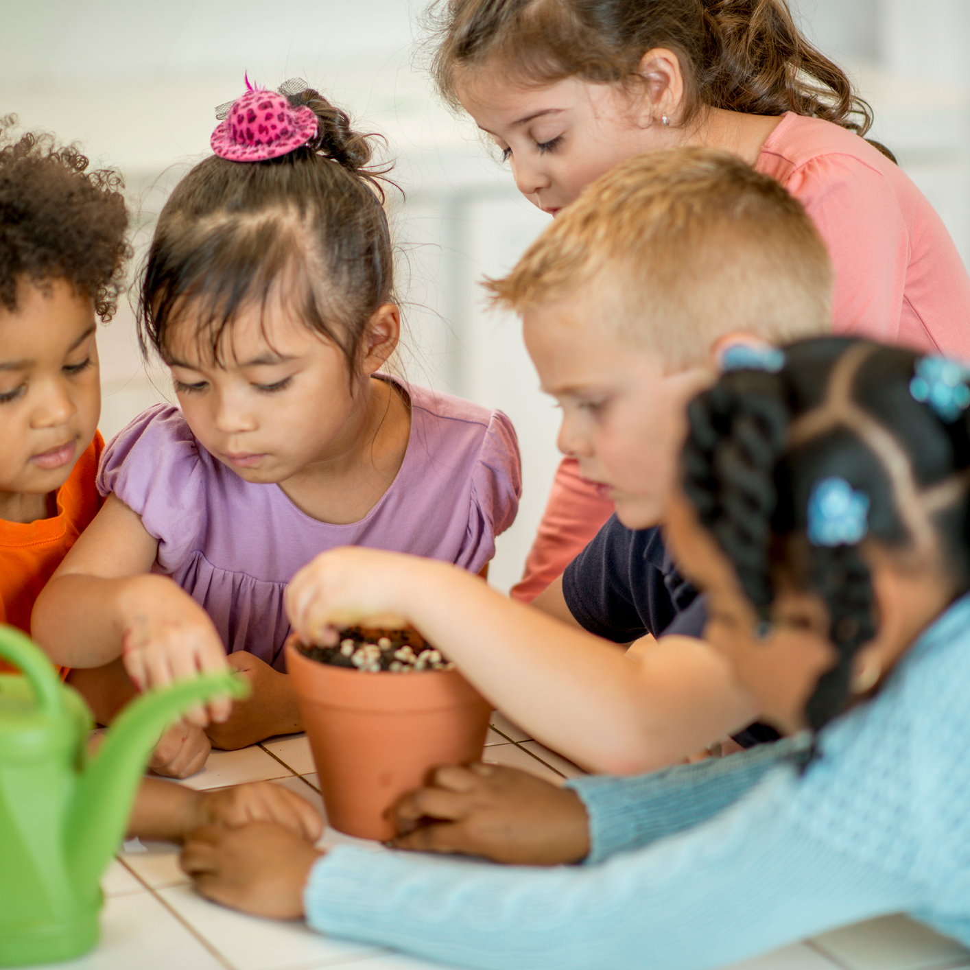 Children planting a seed