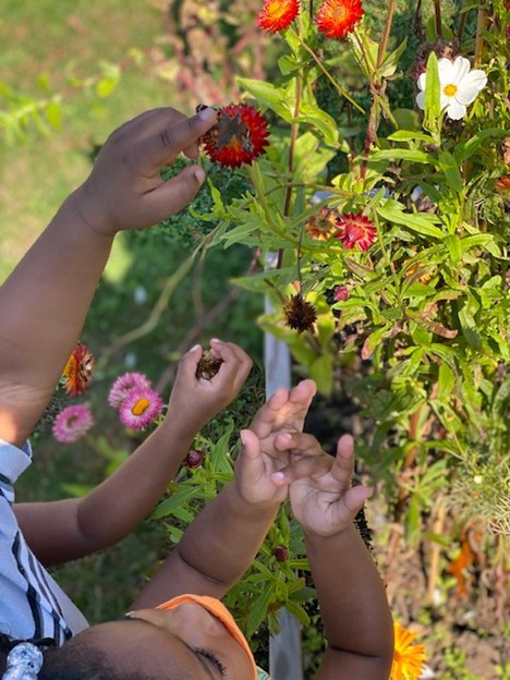 Children explore the flowers at Epiphany's on-site greenhouse.