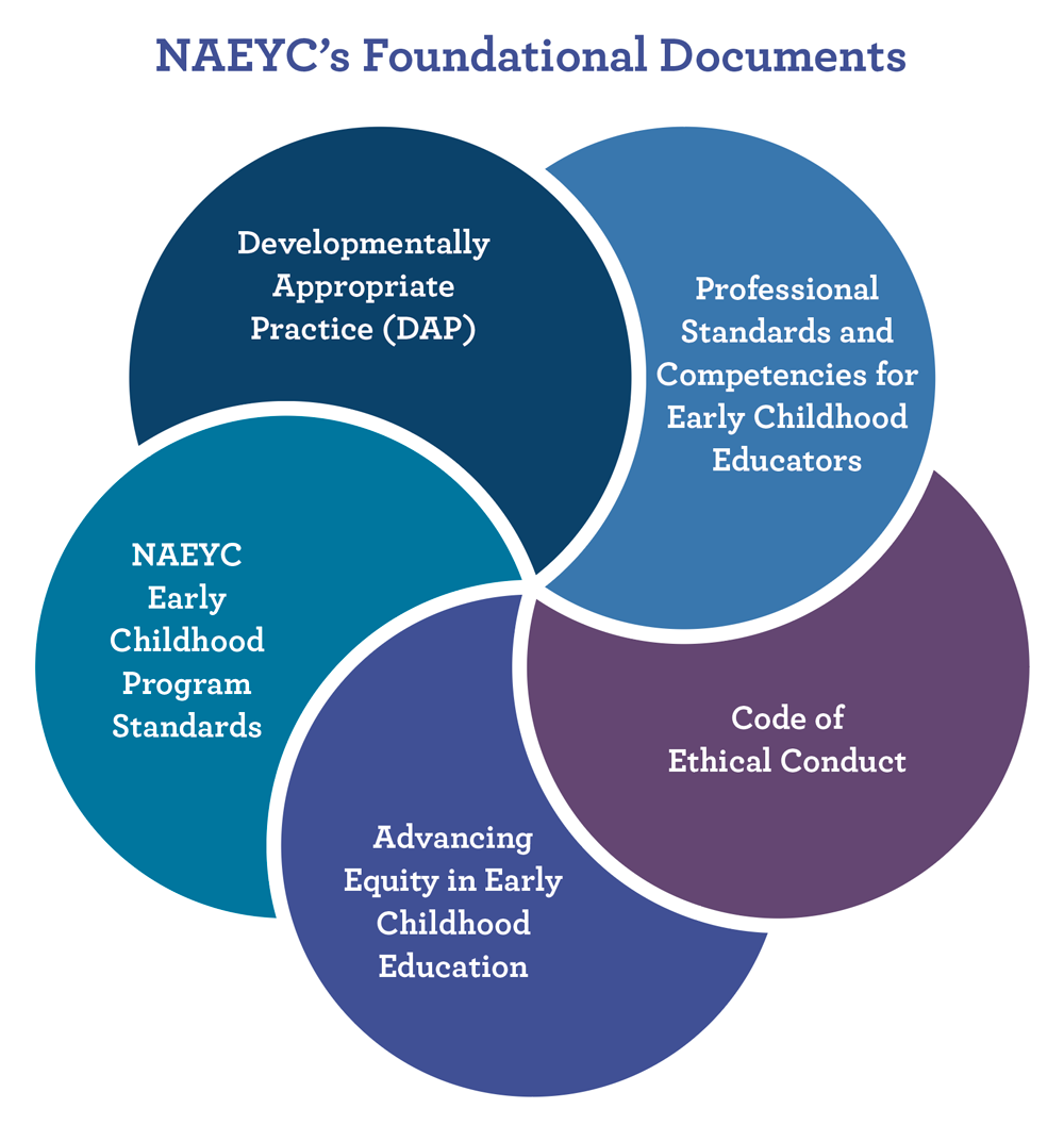 Image result for naeyc standards