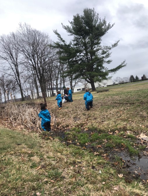 Toddlers investigate cattails.