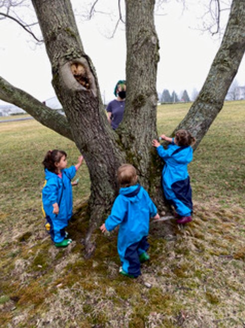 Toddlers investigate a tree.
