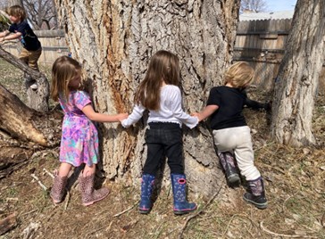 Preschoolers surround a tree to see how big it is.