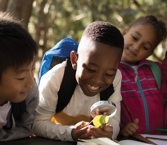 Achievement gap african american students discount