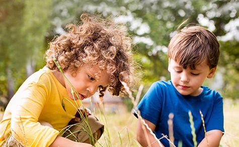 Children investigate outdoors.