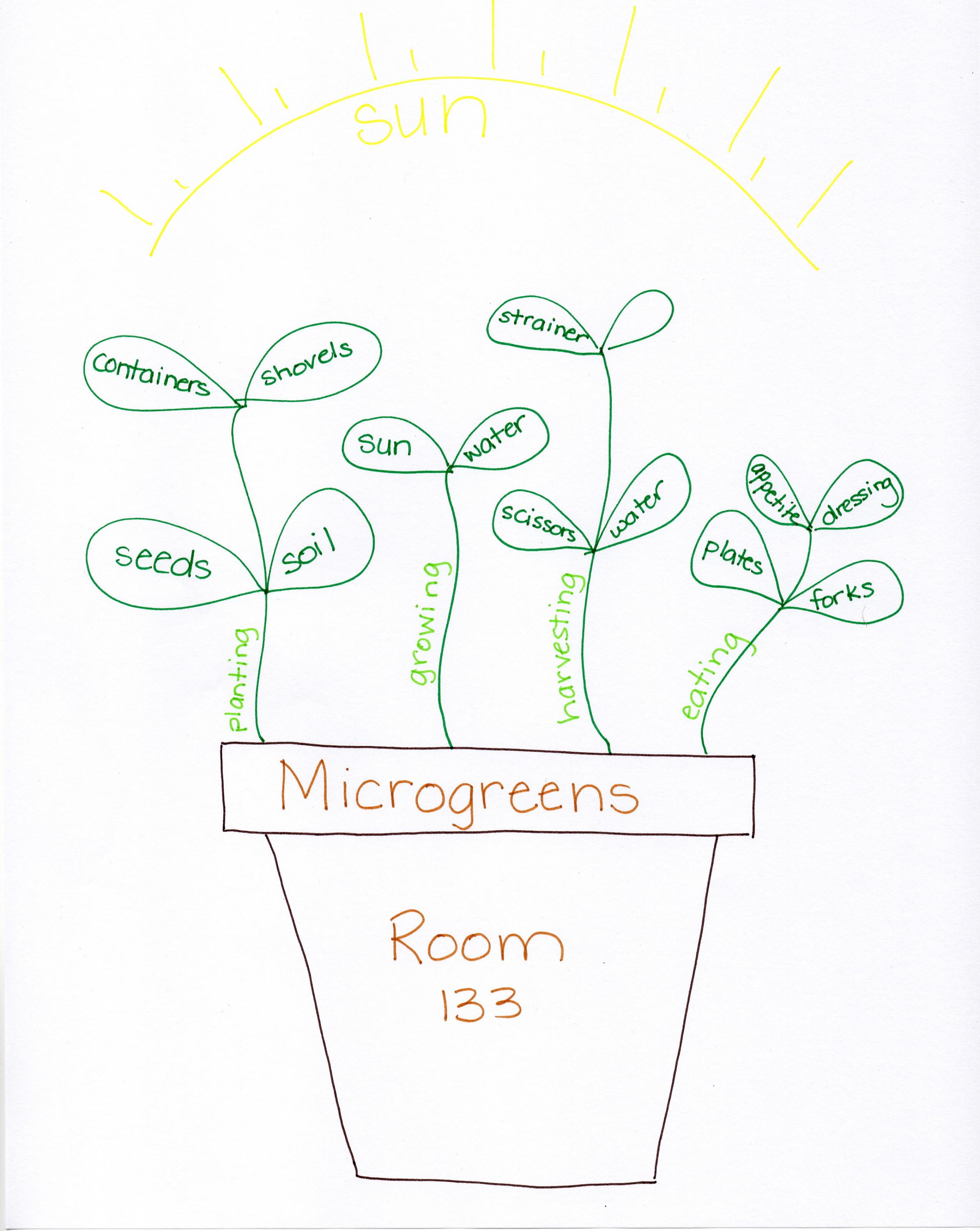 Microgreen Growing Chart