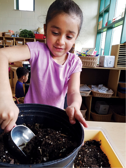 Girl using shovel to plant seeds