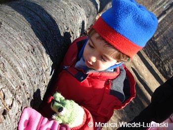 Boy looking at tree