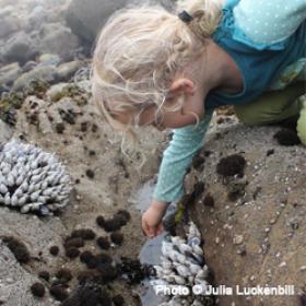 Girl learning about STEM through aquatic life