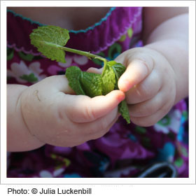 Close up of child playing with leaf