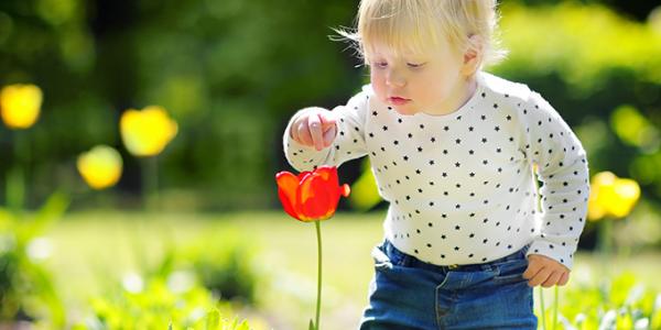 Toddler outdoors touching a flower in the garden