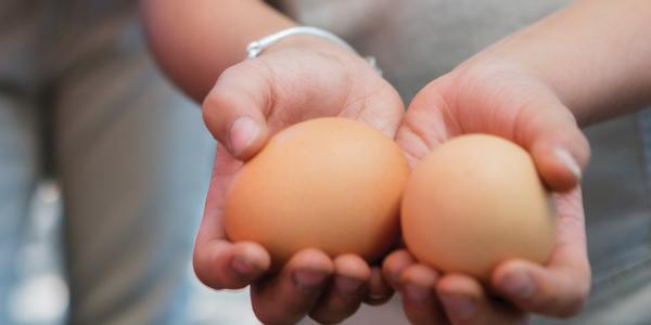Child holding two brown eggs