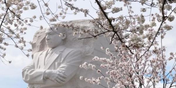 Dr. King Memorial