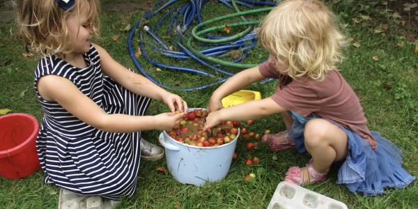 Two children playing with crab apples in water
