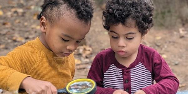 Two children looking at pinecones outside