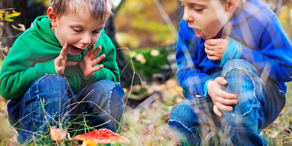 Two boys outside exploring a mushroom