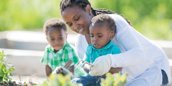 Teacher helping two preschoolers with gardening