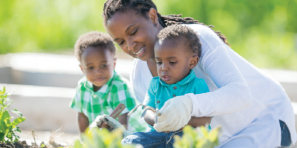 Mom helping toddler sons plant garden
