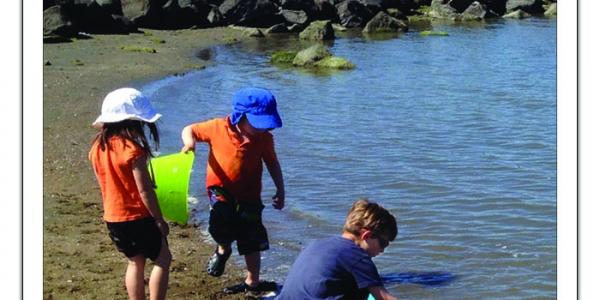 Children collecting rocks