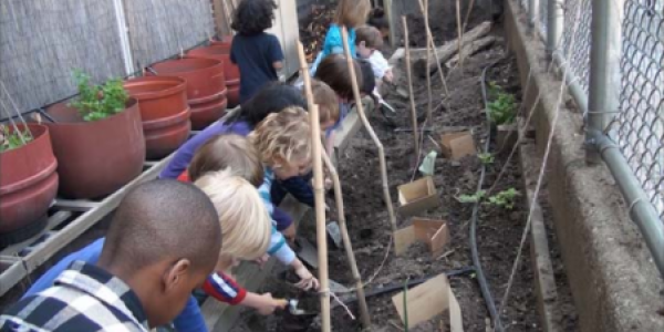 Children gardening