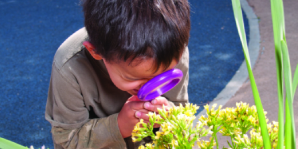 Boy looking at a plant through a magnifying glass