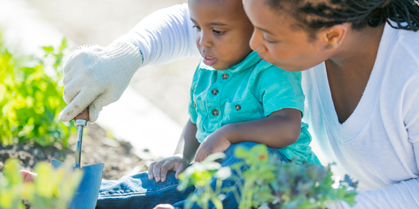Educator and small child gardening together