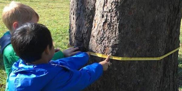 Two children measuring a tree