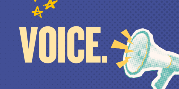 value. voice. vote campaign Voice page header
