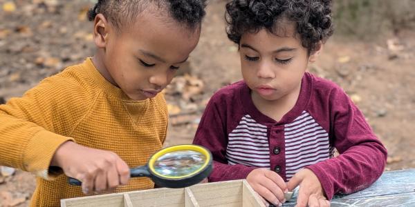 Two preschool children looking at pine cones with a magnifying glass