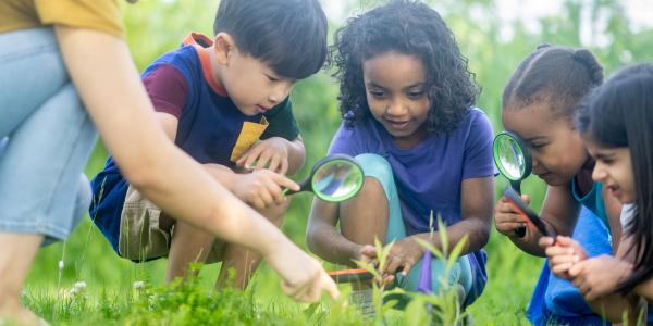 Image of children observing nature