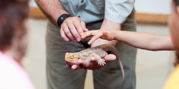 Teacher holding iguana