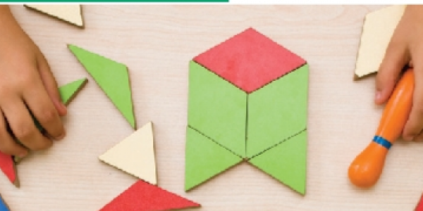 Playing with geometric shaped blocks