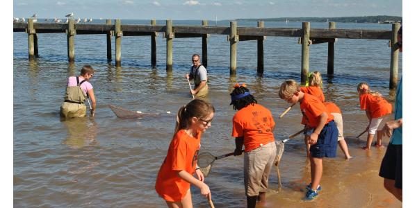 Children using nets to fish at the bay