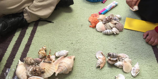 a child observing a pile of shells