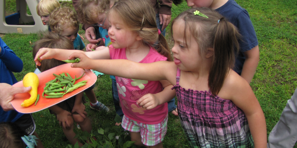 A group of children picking vegetables off of a tray outside.