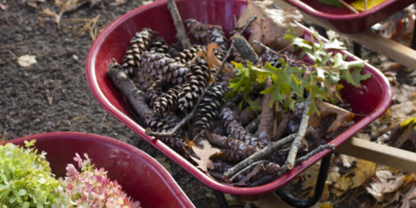 a bucket of nature items like pinecones and leaves