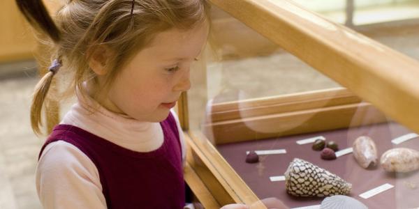 A girl looks at artifacts in a museum.