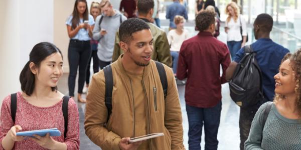 Young adults walking together