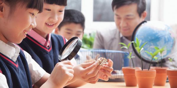 Children observe a hermit crab