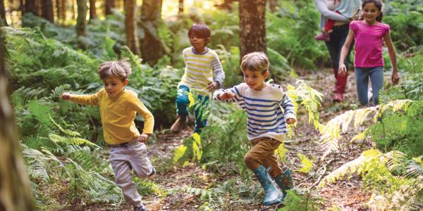 Several children run playfully through a forest.