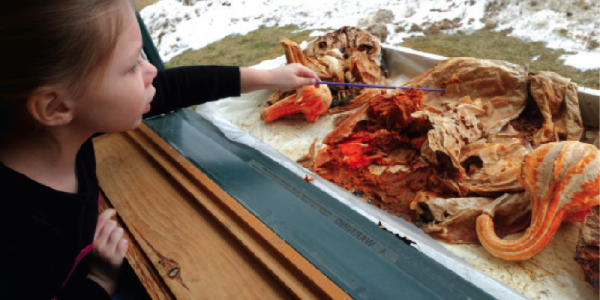 Child examines rotting vegetables in windowsill