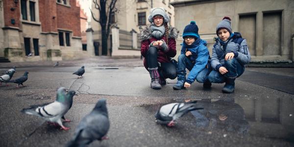 Teacher and two students observing pigeons