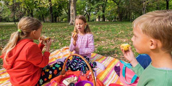 kids having a picnic