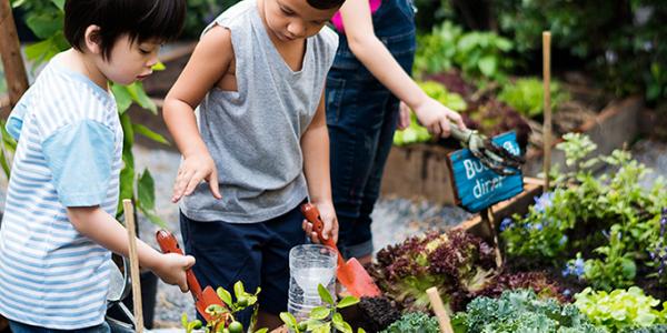 Children gardening in garden plot