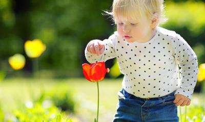 Toddler outdoors touching a flower in the garden