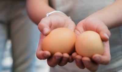 Child holding two brown eggs