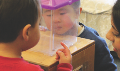 two toddlers and teachers looking in plastic box