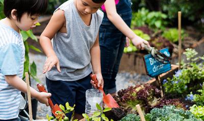 Children in the garden