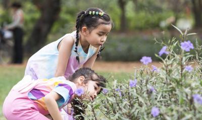 Two children looking at flowers 