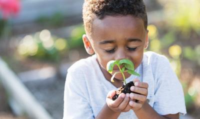 A young child smelling a plant