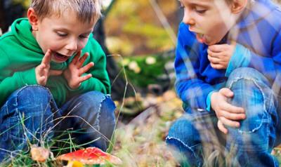 Two young boys playing outside and looking at plants